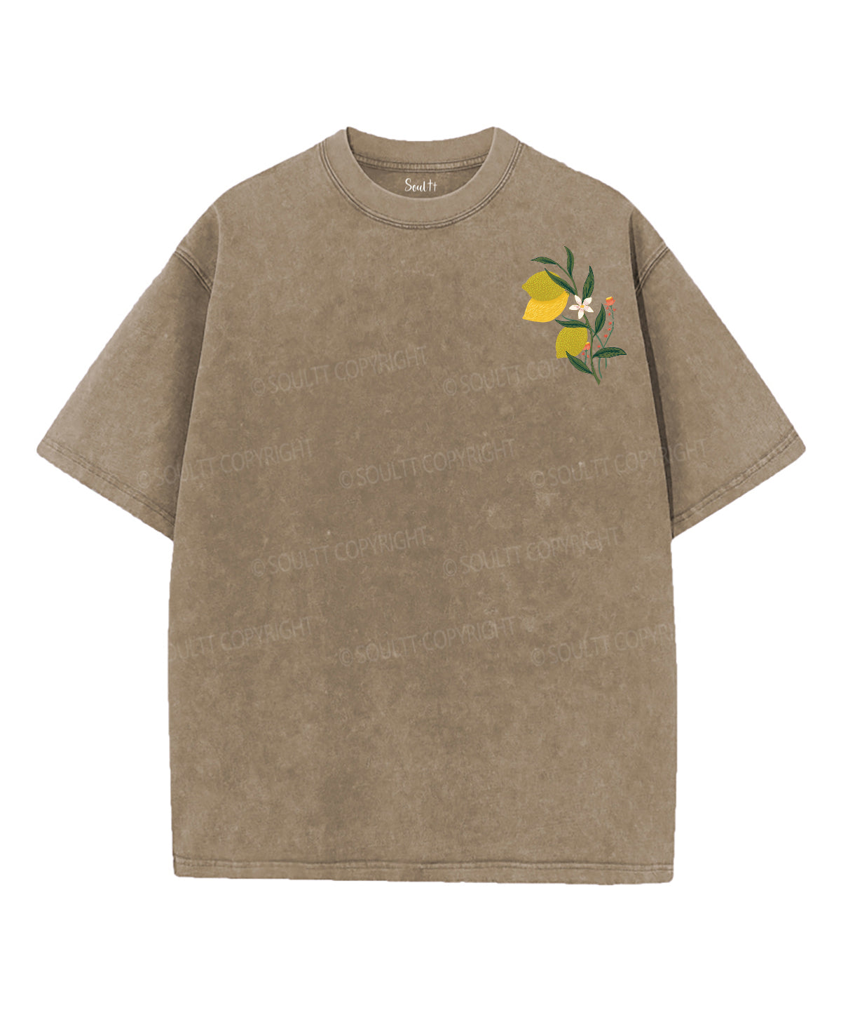 The Fruit Of The Spirit Double Sided Unisex Washed Christian T-shirt