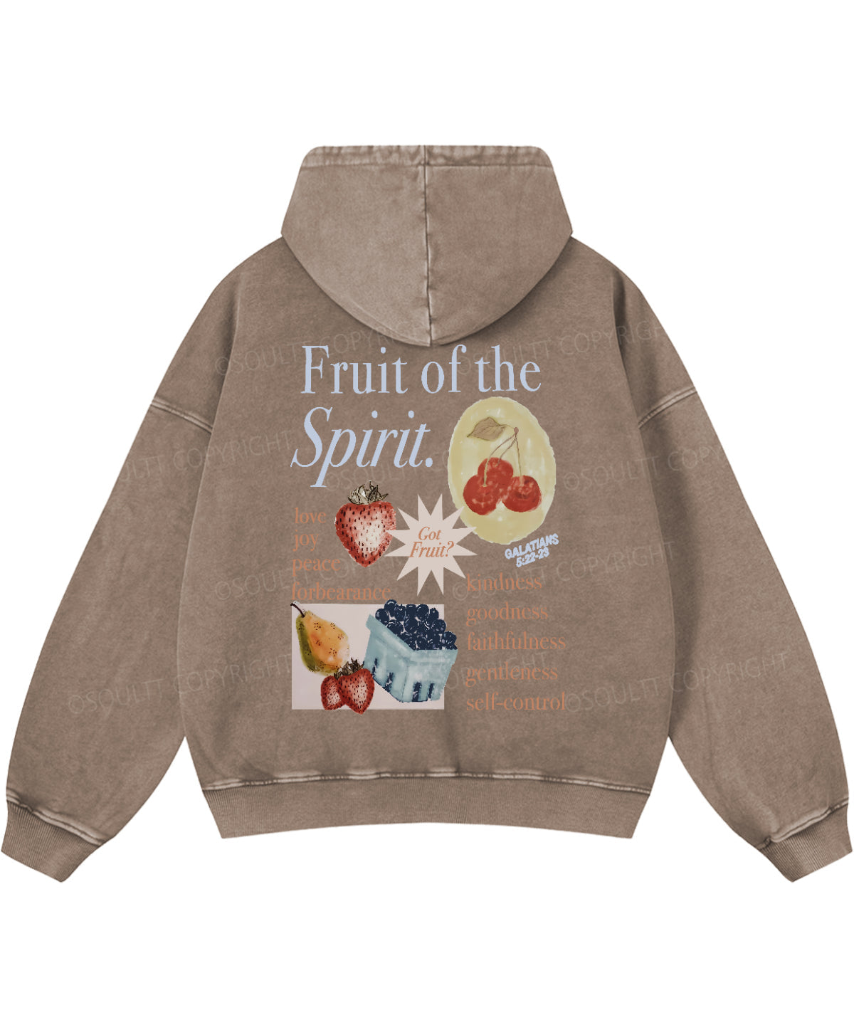 Fruit Of The Spirit Double Sided Washed Christian Hoodie