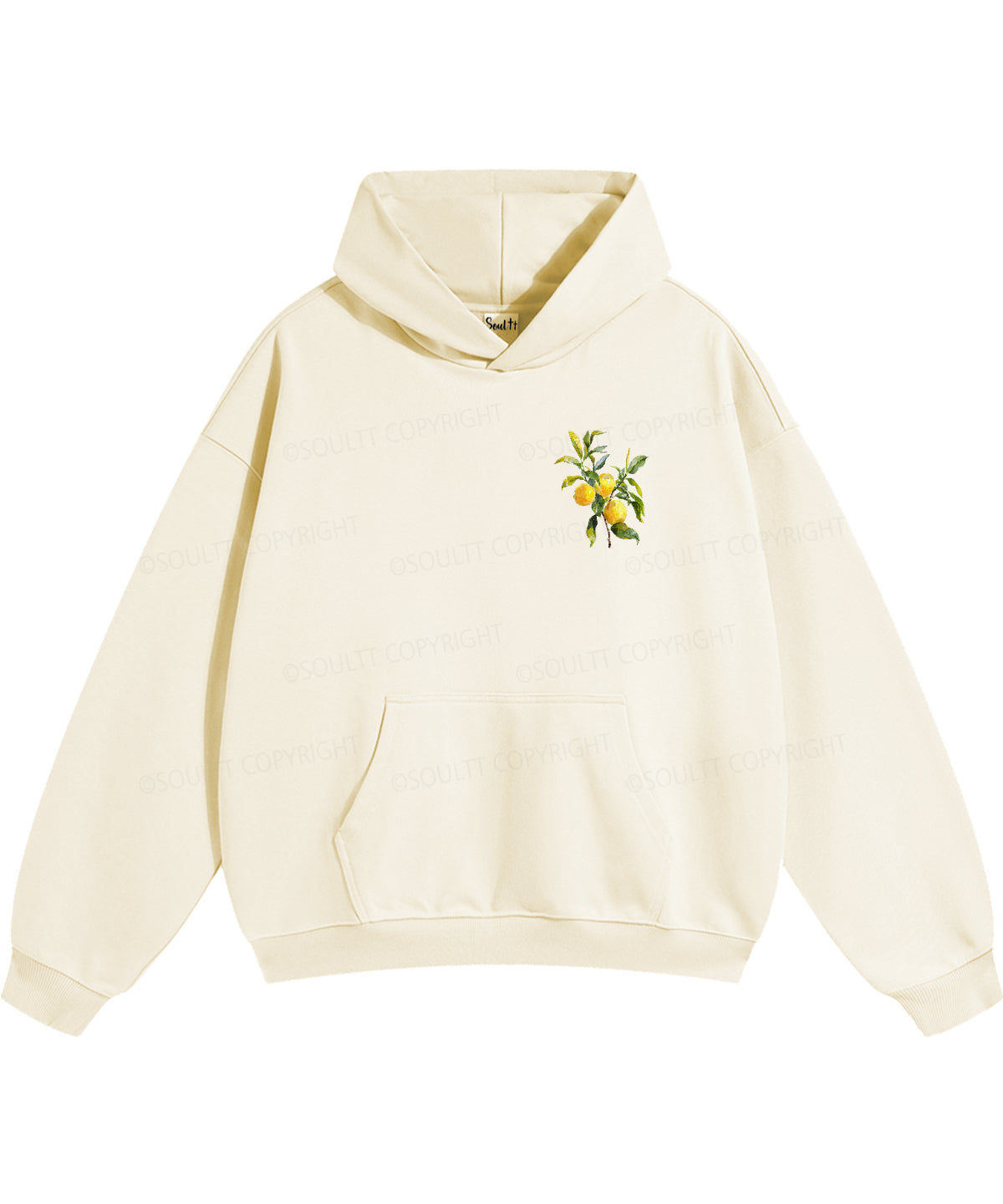 The Fruit Of The Spirit Double Sided Christian Hoodie