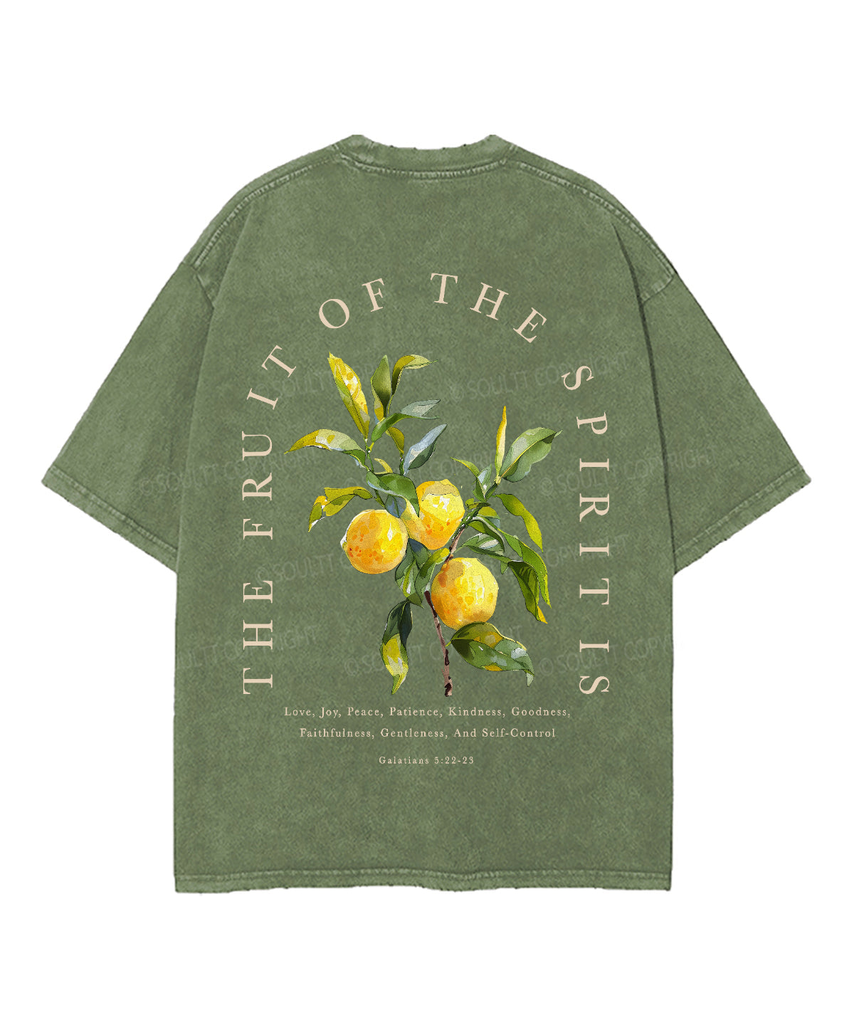 The Fruit Of The Spirit Double Sided Unisex Washed Christian T-shirt