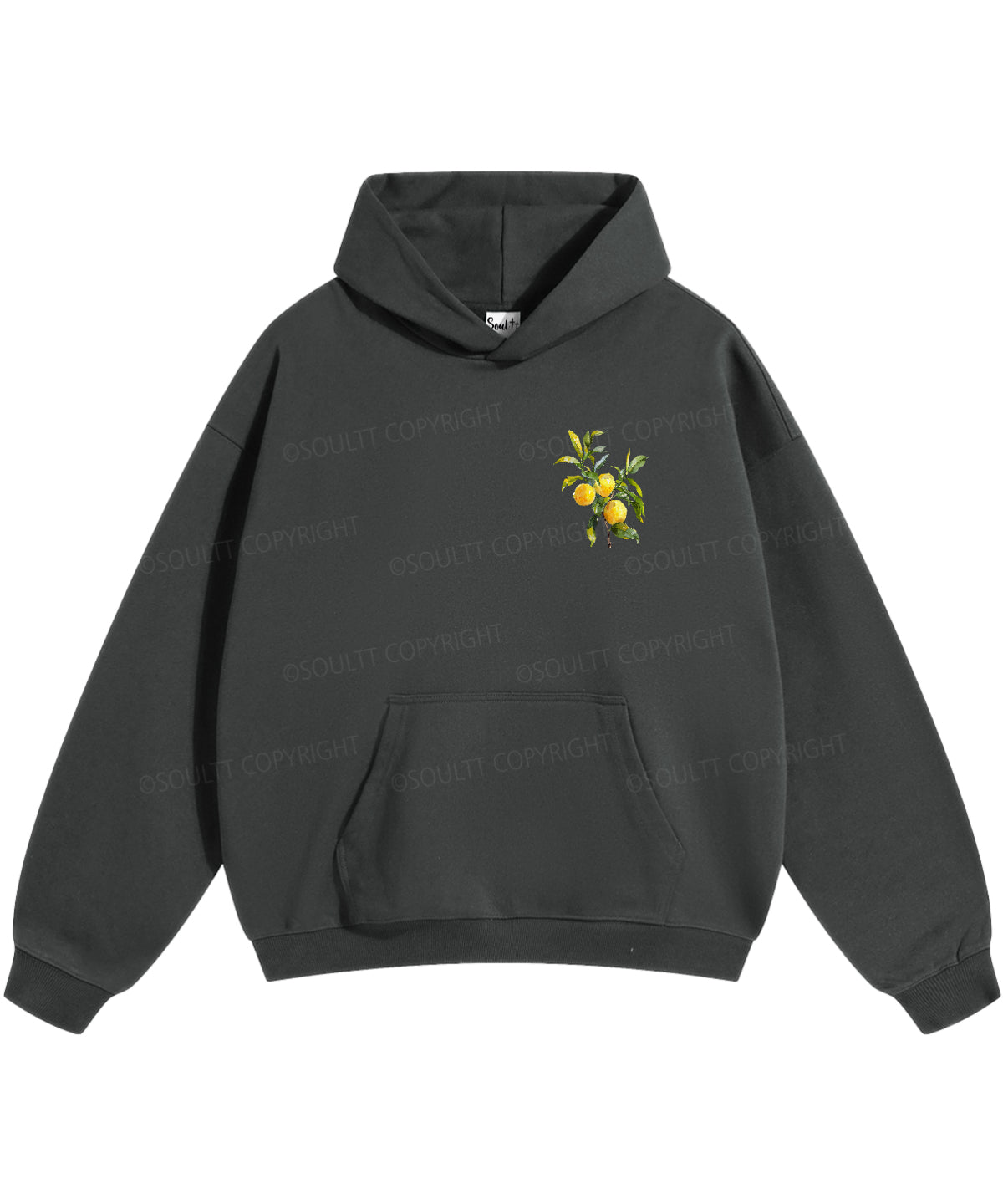 The Fruit Of The Spirit Double Sided Christian Hoodie