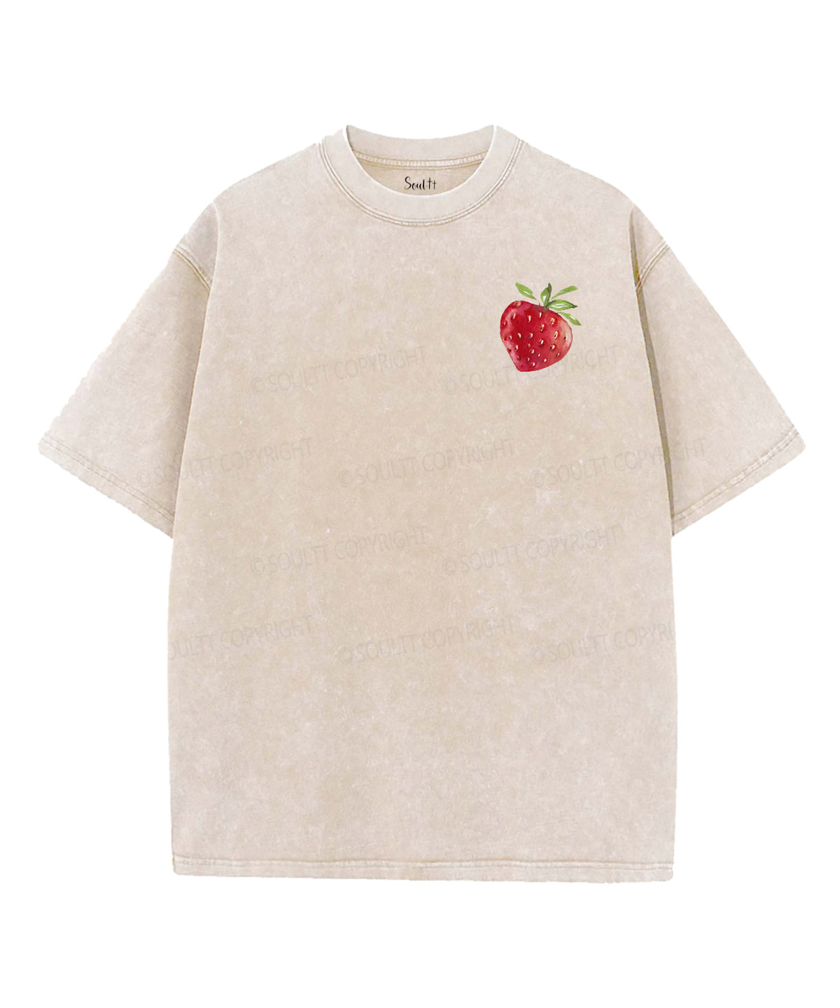 Fruit of the Spirit Double Sided Unisex Washed Christian T-shirt