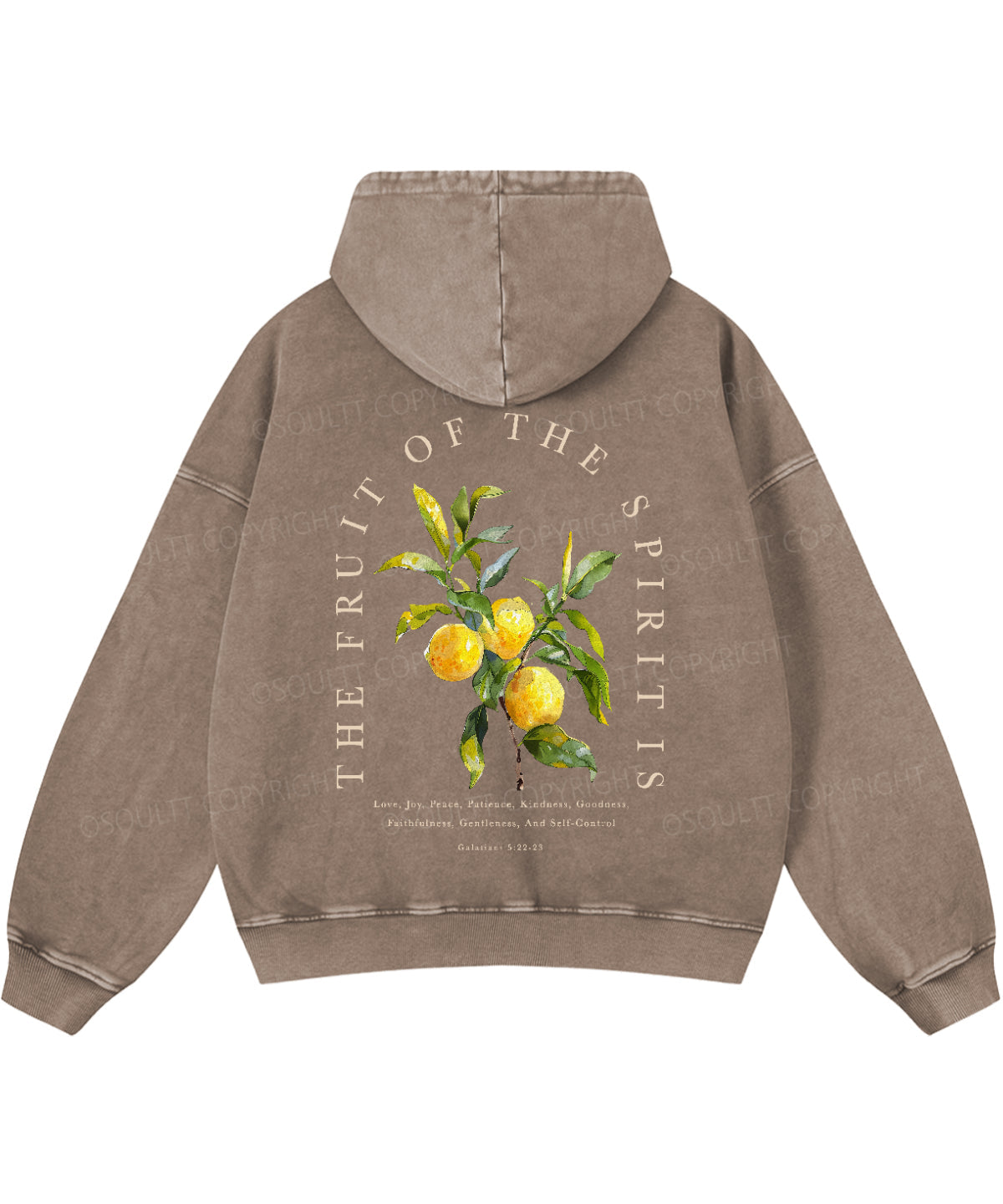 The Fruit Of The Spirit Double Sided Washed Christian Hoodie