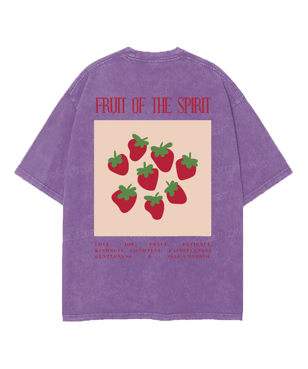 Fruit Of The Spirit Double Sided Washed Christian T-shirt