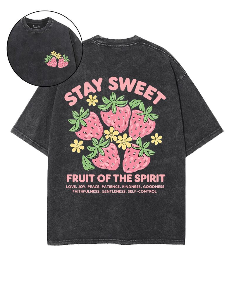 Fruit Of The Spirit Double Sided Unisex Washed Christian T-shirt
