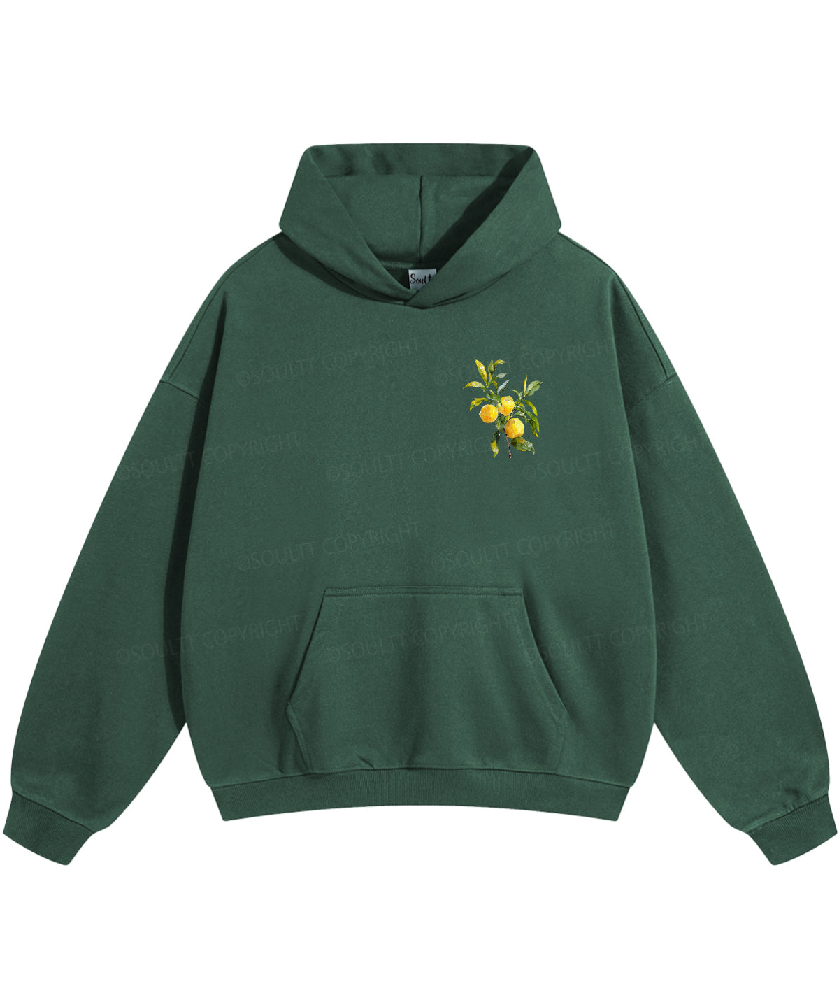 The Fruit Of The Spirit Double Sided Christian Hoodie