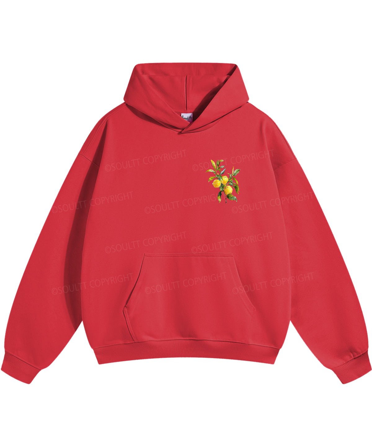 The Fruit Of The Spirit Double Sided Christian Hoodie