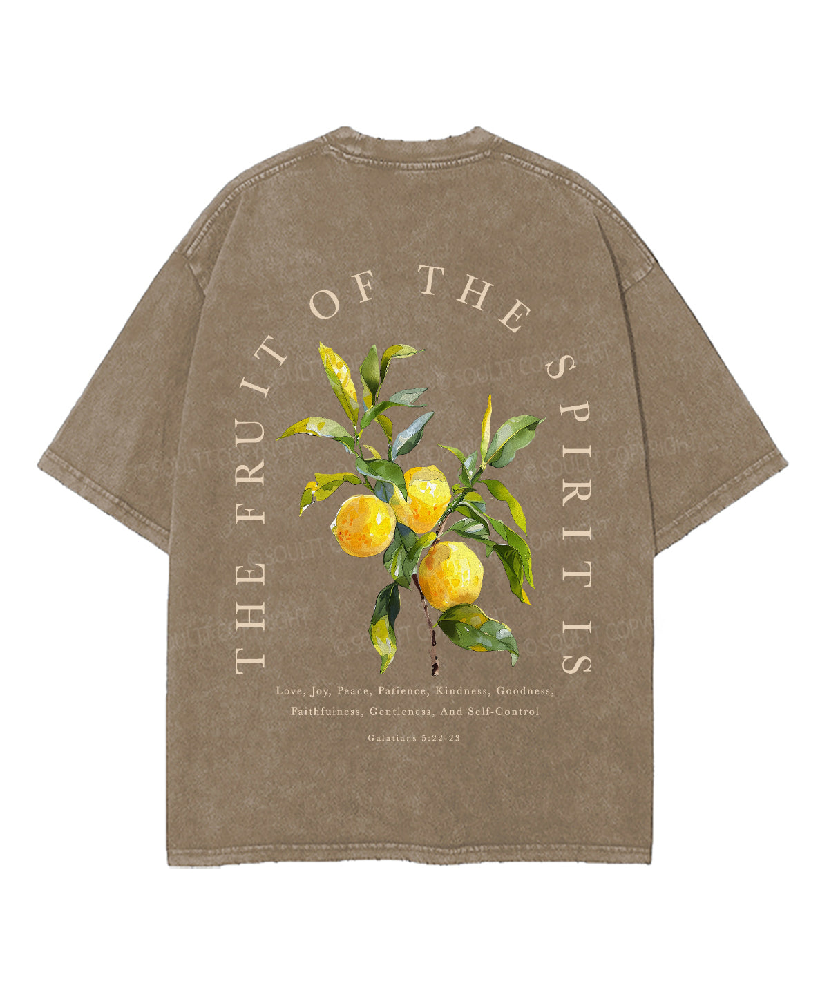 The Fruit Of The Spirit Double Sided Unisex Washed Christian T-shirt