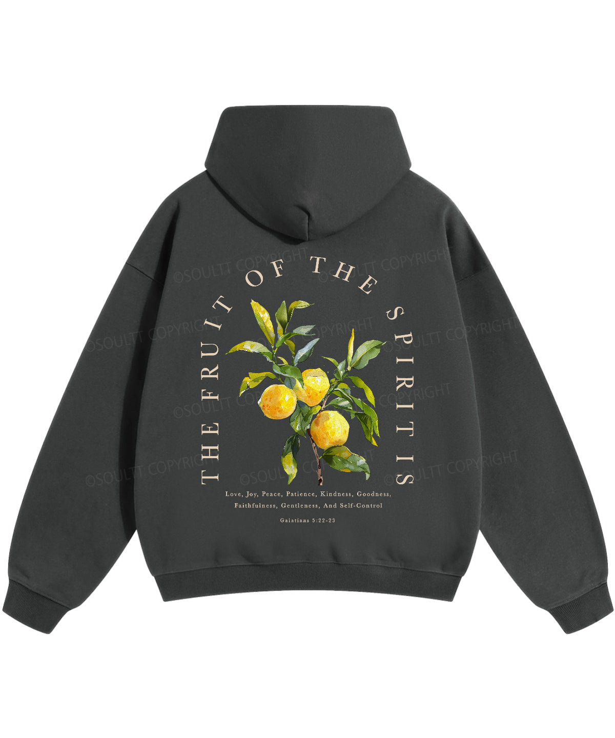 The Fruit Of The Spirit Double Sided Christian Hoodie