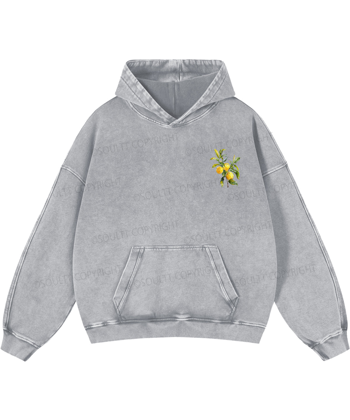 The Fruit Of The Spirit Double Sided Washed Christian Hoodie
