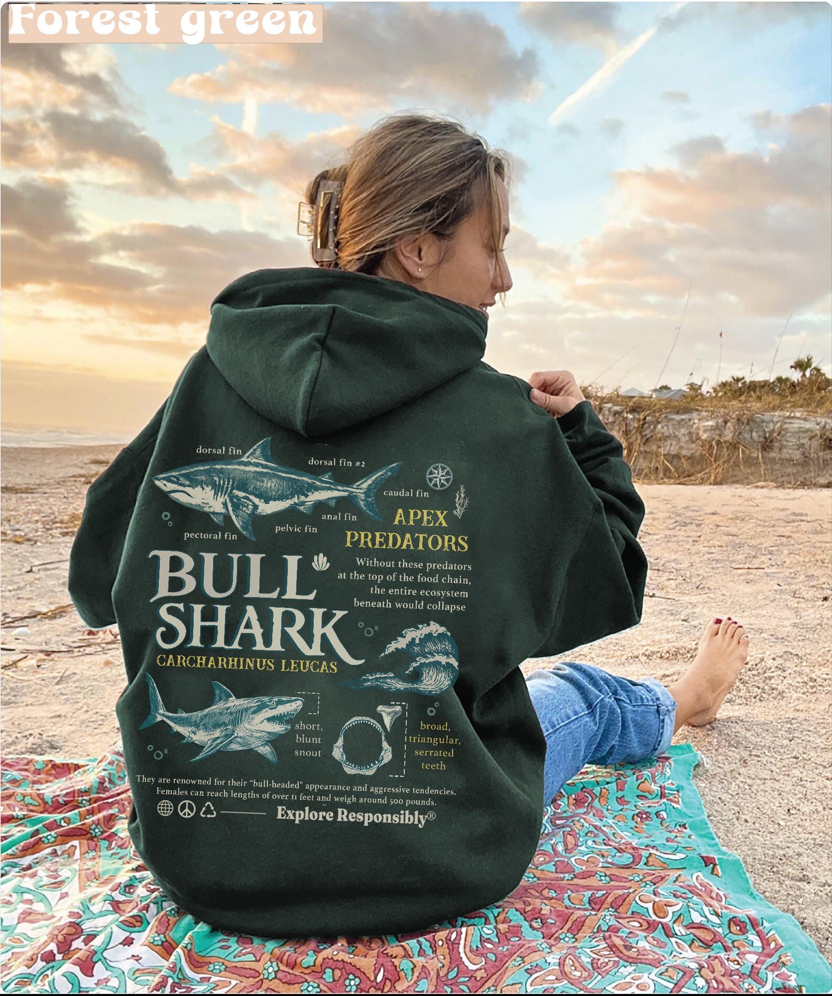 Vintage Look Bull Shark Anatomy Hoodie